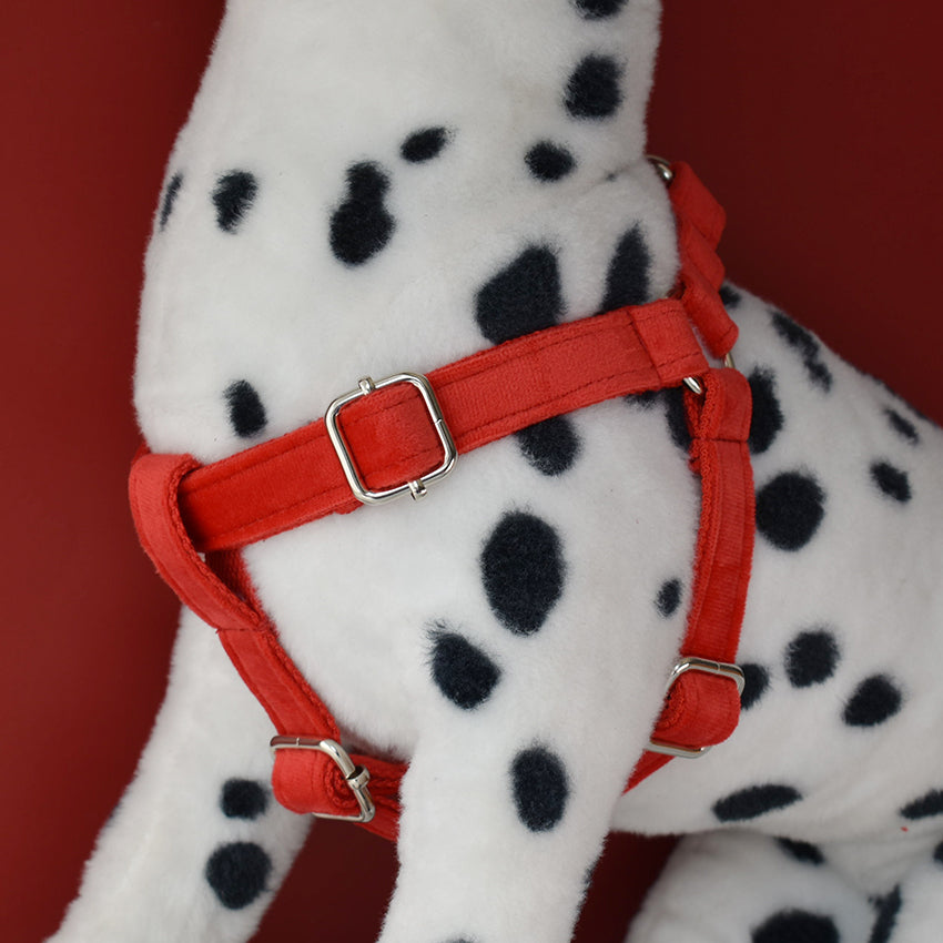 Pet Products Custom Engraved Nameplate Pet Supplies Personalized Pet Collar Use For American Cocker Spaniel Flannelette 03