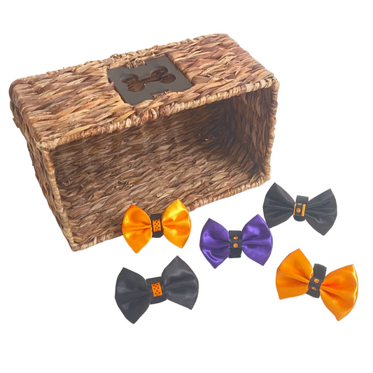 Halloween Bow Budget Bundle|Pets Ribbons