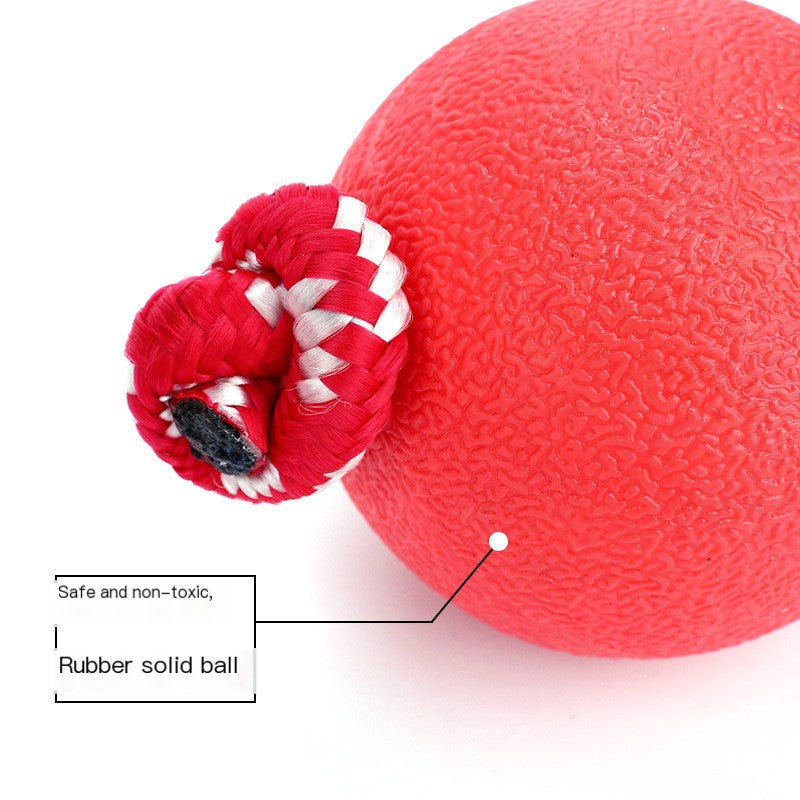 Pet ball toys bite-resistant molars dog toys to relieve boredom training puppy self-Hi toy supplies wholesale