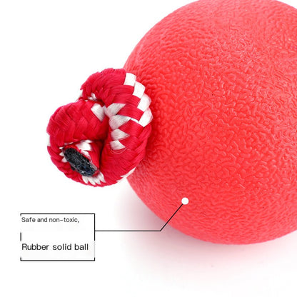 Pet ball toys bite-resistant molars dog toys to relieve boredom training puppy self-Hi toy supplies wholesale