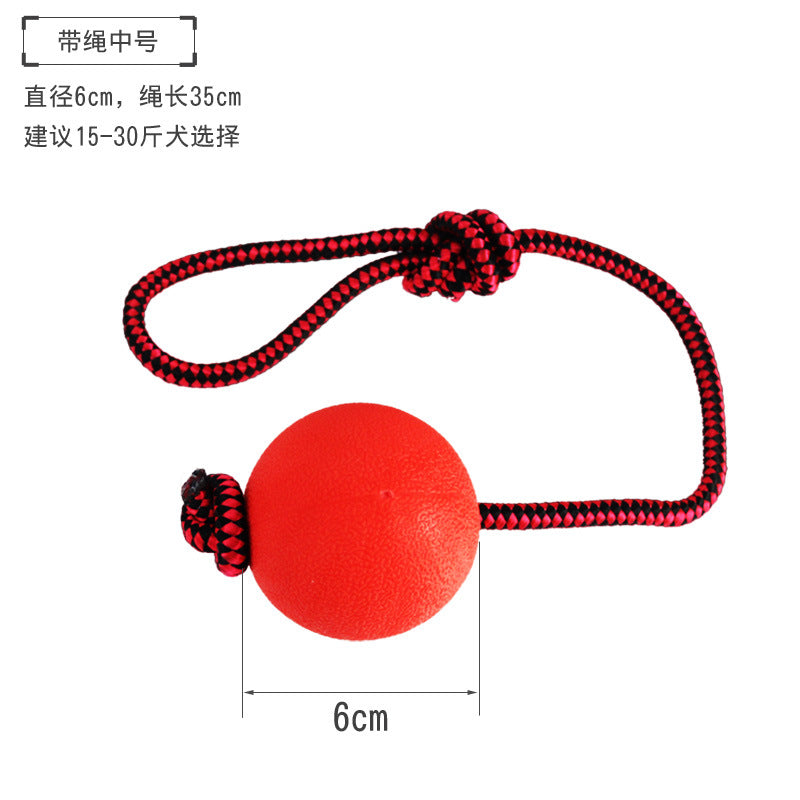 Pet ball toys bite-resistant molars dog toys to relieve boredom training puppy self-Hi toy supplies wholesale