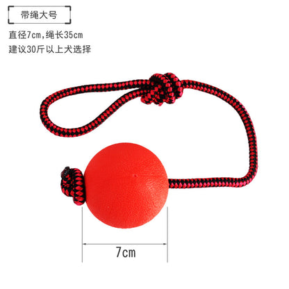 Pet ball toys bite-resistant molars dog toys to relieve boredom training puppy self-Hi toy supplies wholesale