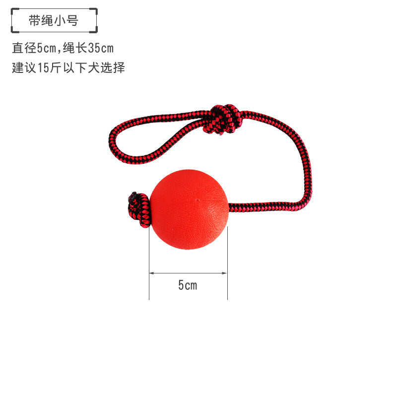 Pet ball toys bite-resistant molars dog toys to relieve boredom training puppy self-Hi toy supplies wholesale