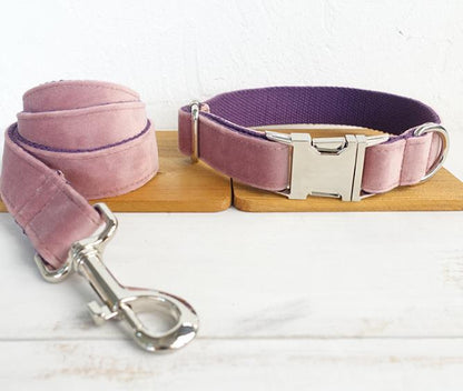 Dog leash pet collar