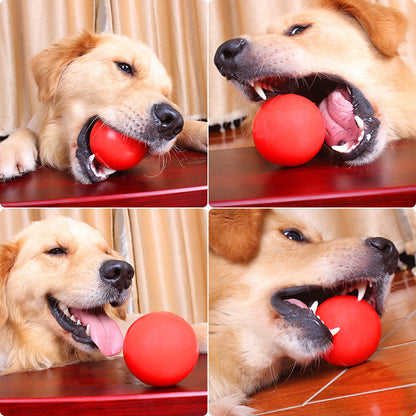 Pet ball toys bite-resistant molars dog toys to relieve boredom training puppy self-Hi toy supplies wholesale